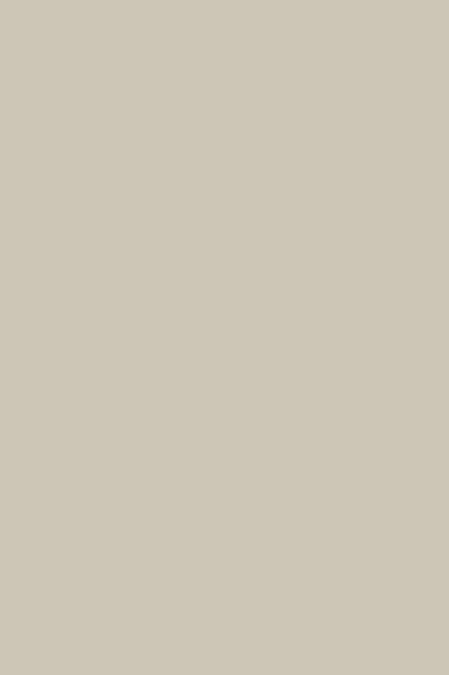 POLYREY-B116 Beige Nature CSG 2150x970x10 FA