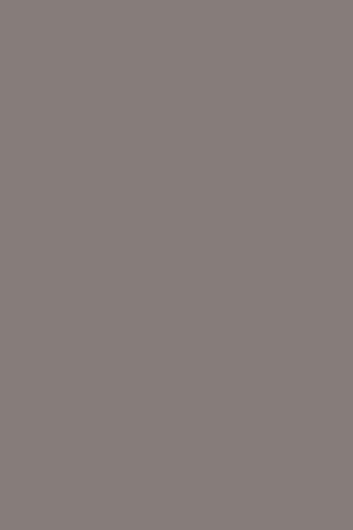 POLYREY-G080 Gris Taupe CSG 3070x1240x10 FA