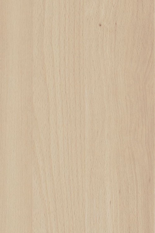 POLYREY-H028 Hêtre Bergen CSG 2150x970x8 FA