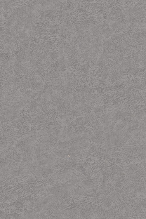 POLYREY-L068 Lézard CSG 3070x1240x10 FA