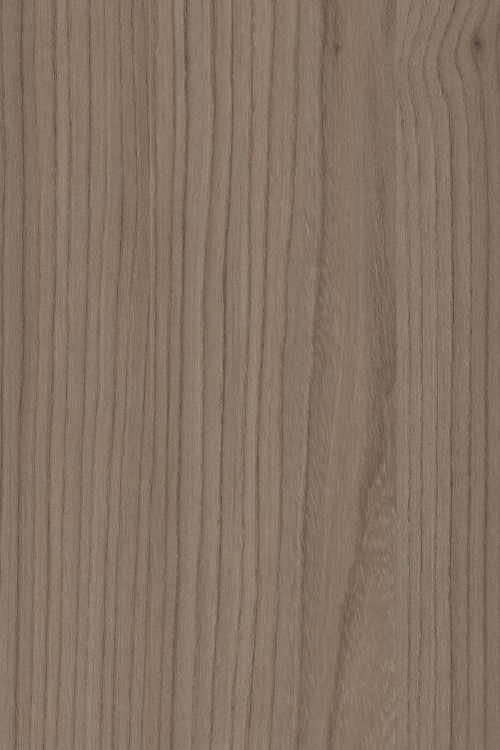 POLYREY-O082 Orme d'Autrefois CSG 3070x1240x12.5 FA