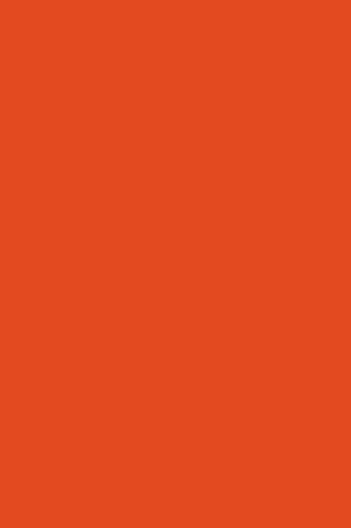 POLYREY-P113 Paprika CSG 3070x1240x8 FA