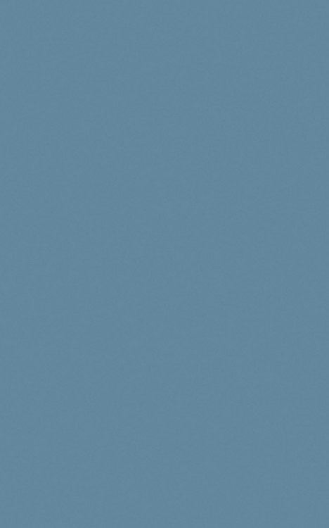 Obrázek z POLYREY-C118 Cèdre Bleu-SG 2150x970x0.8 FA