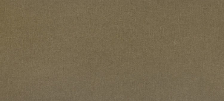Obrázek z POLYREY-T111 Textus Havana CSG 3070x1320x12.5 EXM