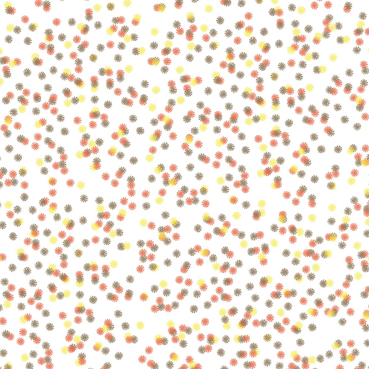 Obrázek z POLYREY DA2A Daisy Orange 2150x970x0.9 mm FA