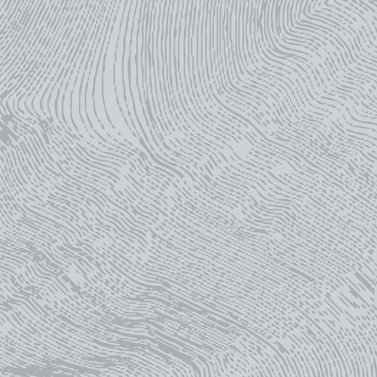 Obrázek z POLYREY ES0B Estampe Gris 2150x970x0.9 mm FA