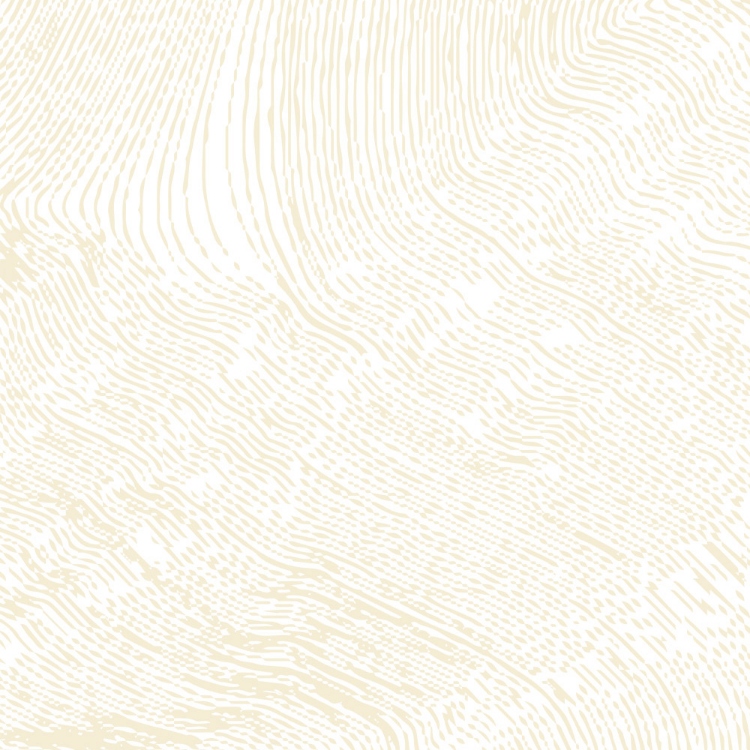 Obrázek z POLYREY ES0C Estampe Ecru 3050x1300x0.9 mm FA
