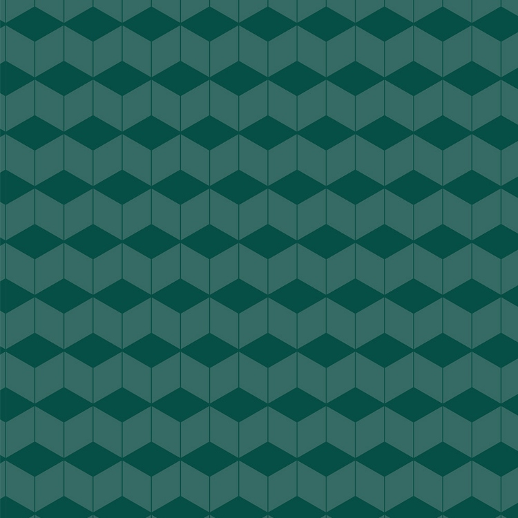 Obrázek z POLYREY FL1B Flag Sapin 2150x970x0.9 mm FA