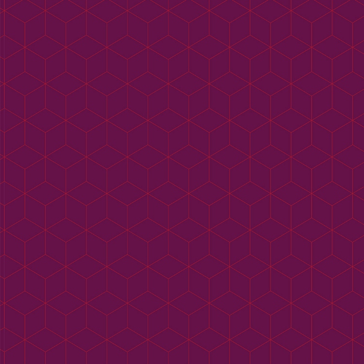 Obrázek z POLYREY HE0A Hexacub Prune 3050x1320x10 mm FA