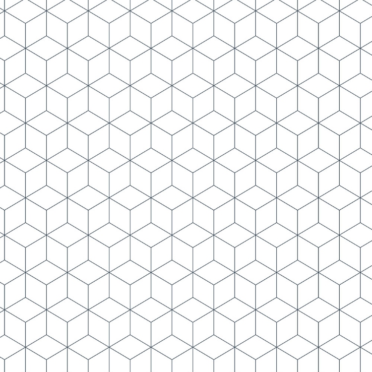 Obrázek z POLYREY HE0E Hexacub Blanc 2450x1240x0.9 mm FA