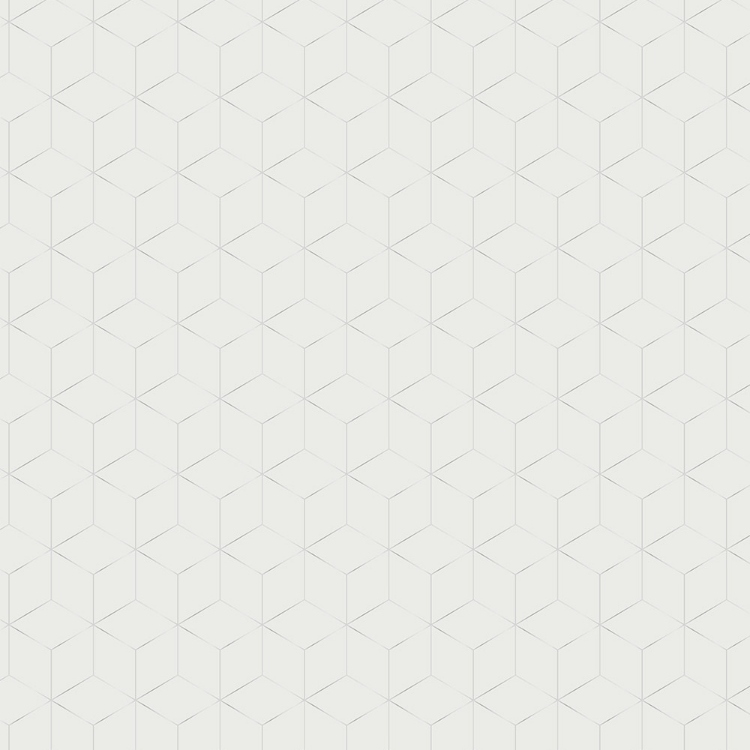 Obrázek z POLYREY HE1C Hexametal Argent 3050x1320x10 mm FA