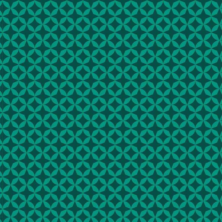 Obrázek z POLYREY ST1C Star Vert 2150x970x0.9 mm FA