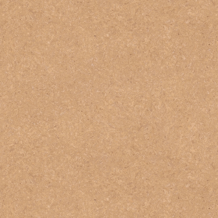 Obrázek z POLYREY CO3A Cork Natural 3050x1300x10 mm EXM